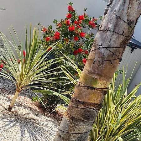 Alojamento de Acomodação e Pequeno-almoço L'ete Indien 3*